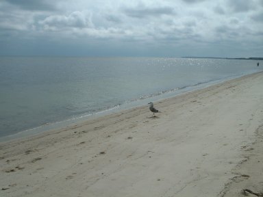 West Dennis Beach - Cape Cod