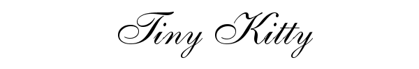 Tiny Kitty